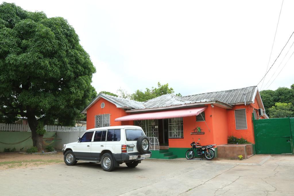 קינגסטון Reggae Hostel מראה חיצוני תמונה