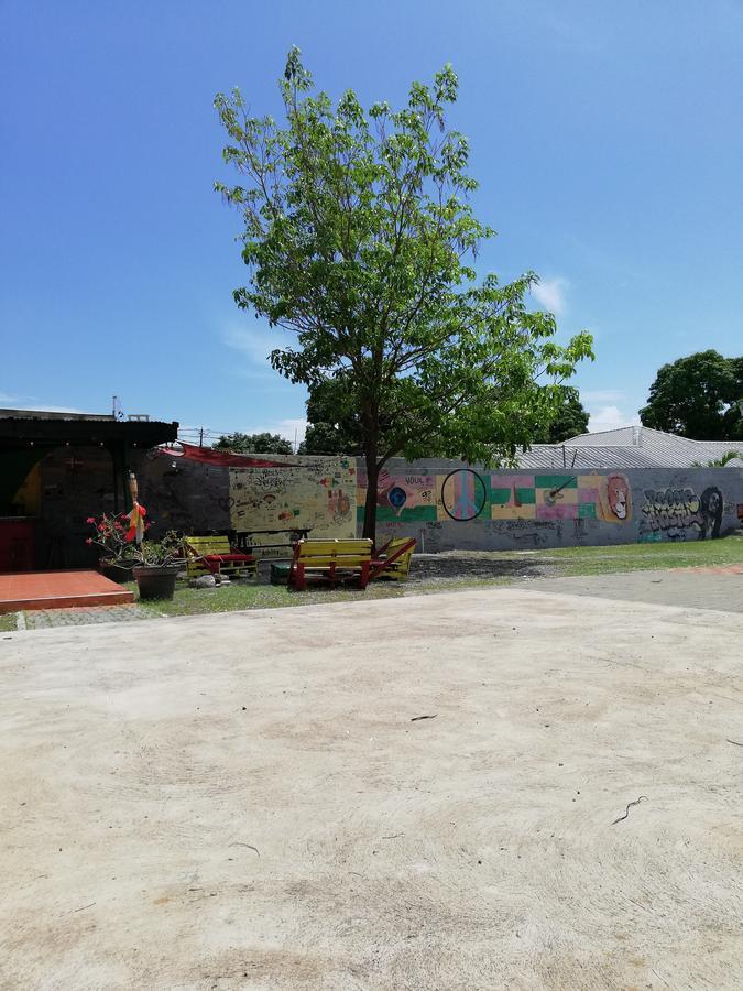 קינגסטון Reggae Hostel מראה חיצוני תמונה