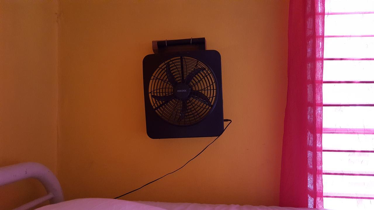 קינגסטון Reggae Hostel מראה חיצוני תמונה