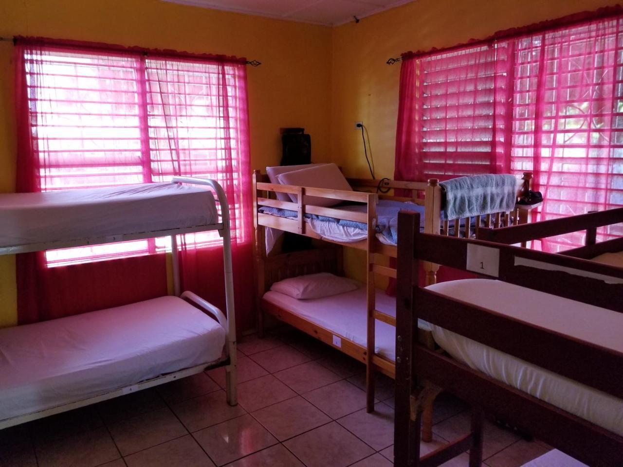קינגסטון Reggae Hostel מראה חיצוני תמונה
